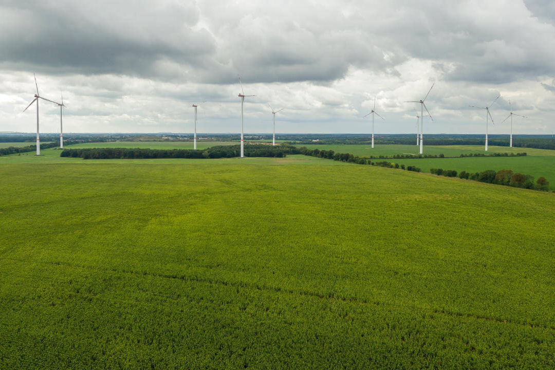 Landscape & People illustration